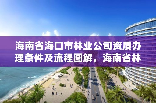 海南省海口市林业公司资质办理条件及流程图解，海南省林业总公司待遇