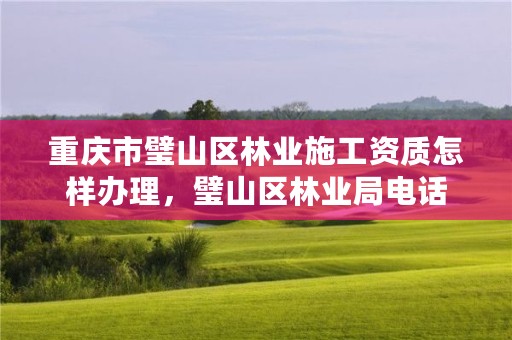 重庆市璧山区林业施工资质怎样办理，璧山区林业局电话