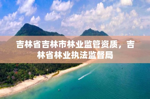 吉林省吉林市林业监管资质，吉林省林业执法监督局