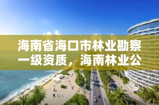 海南省海口市林业勘察一级资质，海南林业公司