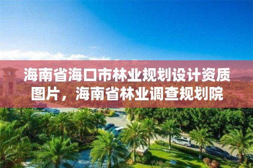 海南省海口市林业规划设计资质图片，海南省林业调查规划院