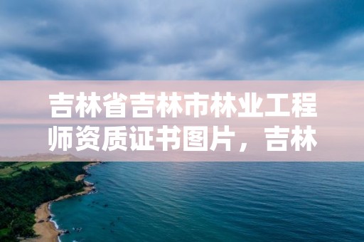 吉林省吉林市林业工程师资质证书图片，吉林省 林业 职称 2017