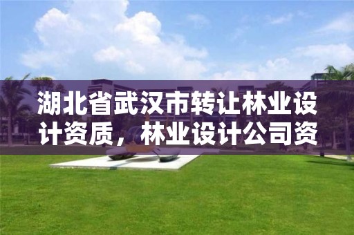 湖北省武汉市转让林业设计资质，林业设计公司资质怎么办