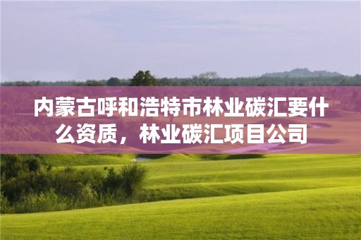 内蒙古呼和浩特市林业碳汇要什么资质，林业碳汇项目公司