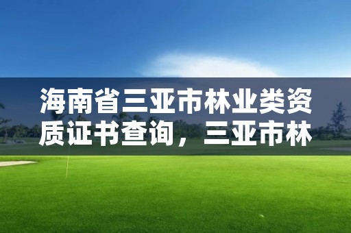 海南省三亚市林业类资质证书查询，三亚市林业局公开招聘