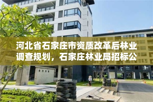 河北省石家庄市资质改革后林业调查规划，石家庄林业局招标公告