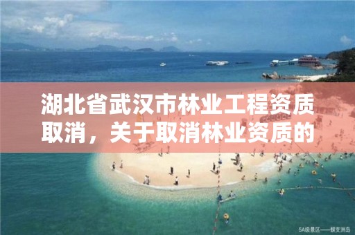 湖北省武汉市林业工程资质取消，关于取消林业资质的文件