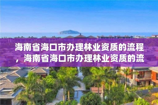 海南省海口市办理林业资质的流程，海南省海口市办理林业资质的流程是什么