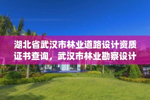 湖北省武汉市林业道路设计资质证书查询，武汉市林业勘察设计院