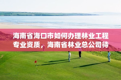 海南省海口市如何办理林业工程专业资质，海南省林业总公司待遇