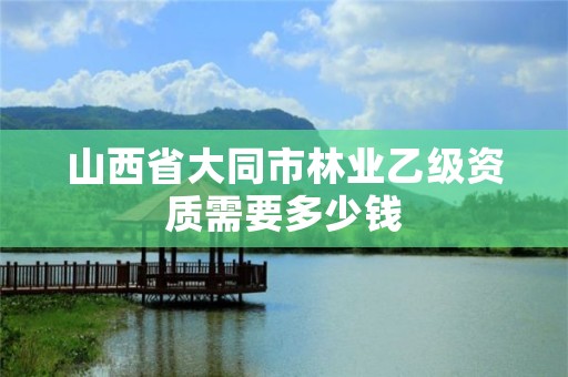 山西省大同市林业乙级资质需要多少钱