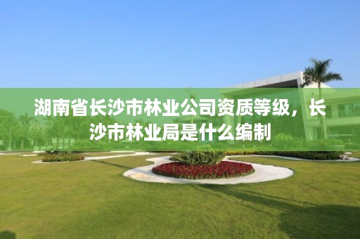 湖南省长沙市林业公司资质等级，长沙市林业局是什么编制