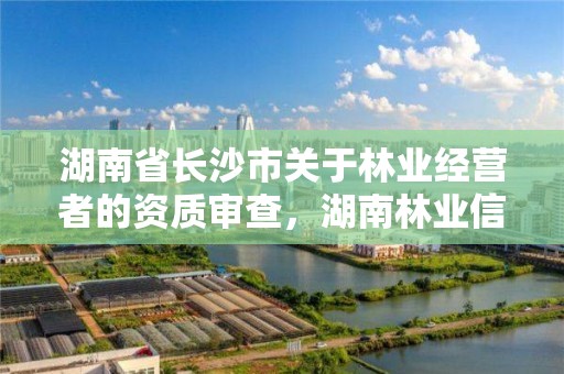 湖南省长沙市关于林业经营者的资质审查，湖南林业信息网林权证查询