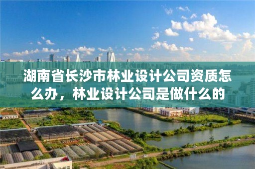 湖南省长沙市林业设计公司资质怎么办，林业设计公司是做什么的