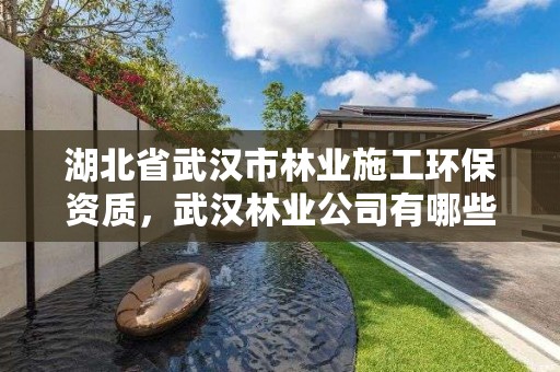 湖北省武汉市林业施工环保资质，武汉林业公司有哪些