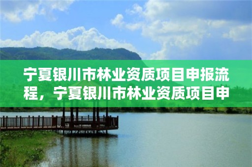 宁夏银川市林业资质项目申报流程，宁夏银川市林业资质项目申报流程图