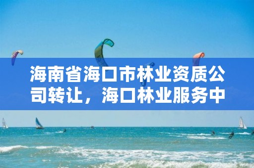 海南省海口市林业资质公司转让，海口林业服务中心