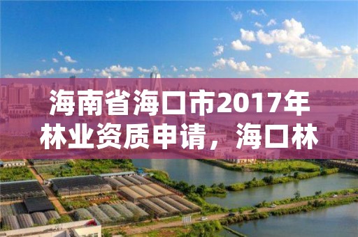 海南省海口市2017年林业资质申请，海口林业局地址