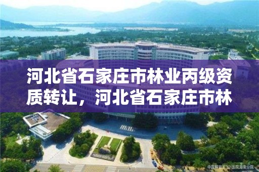 河北省石家庄市林业丙级资质转让，河北省石家庄市林业丙级资质转让公告