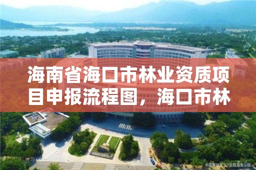 海南省海口市林业资质项目申报流程图，海口市林业局电话号码