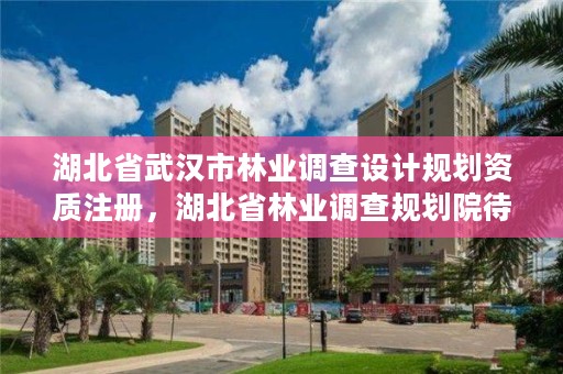 湖北省武汉市林业调查设计规划资质注册，湖北省林业调查规划院待遇怎么样