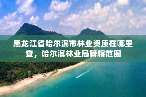 黑龙江省哈尔滨市林业资质在哪里查，哈尔滨林业局管辖范围