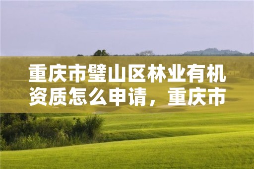 重庆市璧山区林业有机资质怎么申请，重庆市林业投资