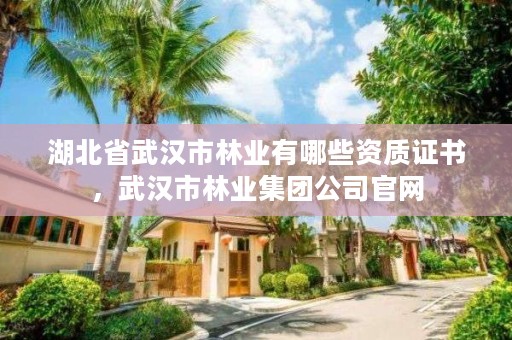 湖北省武汉市林业有哪些资质证书，武汉市林业集团公司官网