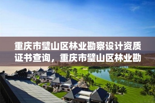 重庆市璧山区林业勘察设计资质证书查询，重庆市璧山区林业勘察设计资质证书查询网