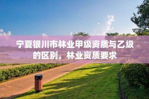 宁夏银川市林业甲级资质与乙级的区别，林业资质要求