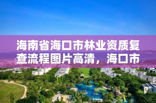 海南省海口市林业资质复查流程图片高清，海口市林业局官网