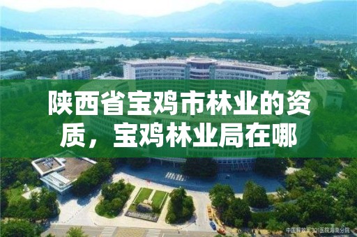 陕西省宝鸡市林业的资质，宝鸡林业局在哪