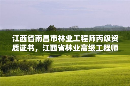 江西省南昌市林业工程师丙级资质证书，江西省林业高级工程师资格条件