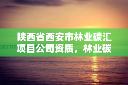 陕西省西安市林业碳汇项目公司资质，林业碳汇项目审定和核证指南