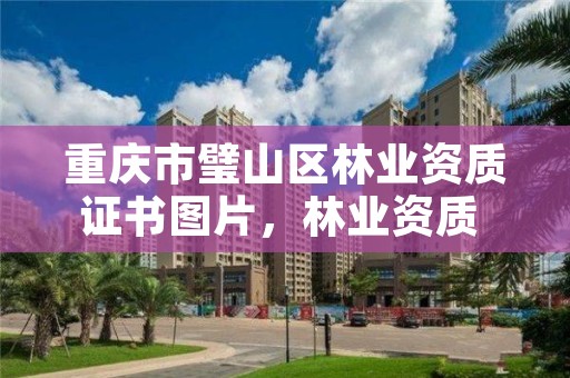 重庆市璧山区林业资质证书图片，林业资质 重庆