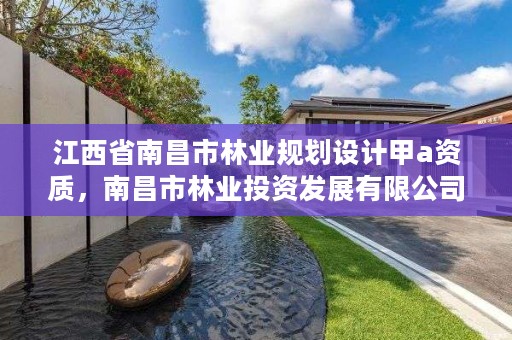 江西省南昌市林业规划设计甲a资质，南昌市林业投资发展有限公司