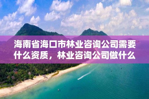 海南省海口市林业咨询公司需要什么资质，林业咨询公司做什么