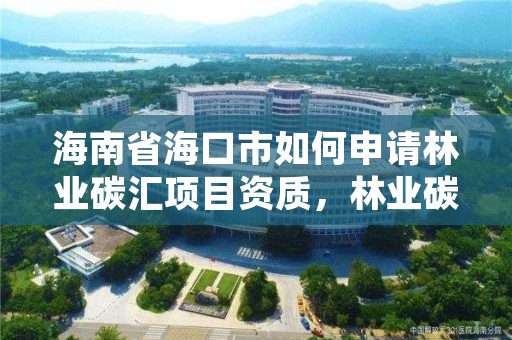 海南省海口市如何申请林业碳汇项目资质，林业碳汇海南橡胶