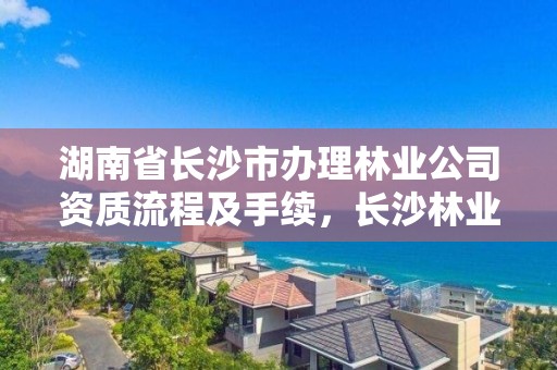 湖南省长沙市办理林业公司资质流程及手续，长沙林业局在哪里