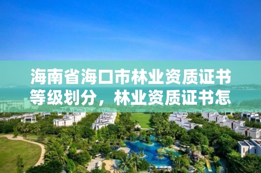 海南省海口市林业资质证书等级划分，林业资质证书怎么办理?