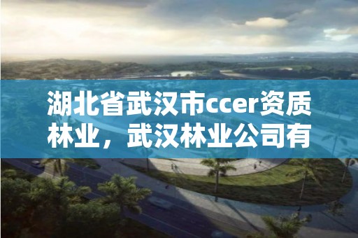 湖北省武汉市ccer资质林业，武汉林业公司有哪些