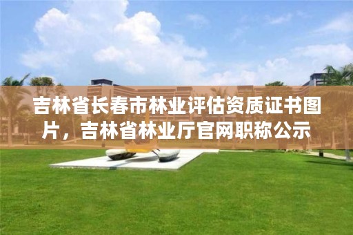 吉林省长春市林业评估资质证书图片，吉林省林业厅官网职称公示