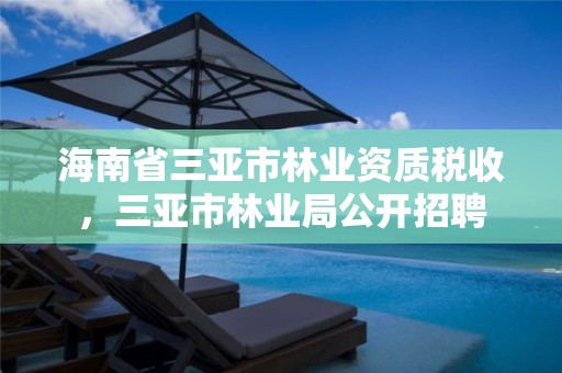 海南省三亚市林业资质税收，三亚市林业局公开招聘