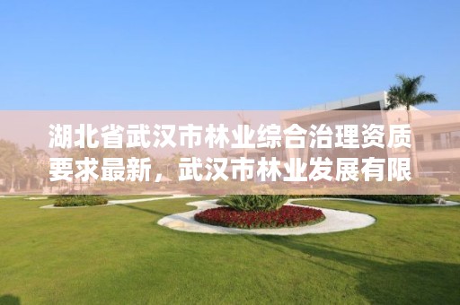 湖北省武汉市林业综合治理资质要求最新，武汉市林业发展有限责任公司