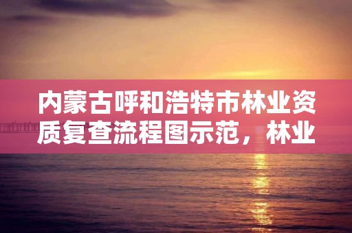 内蒙古呼和浩特市林业资质复查流程图示范，林业工程资质在哪办