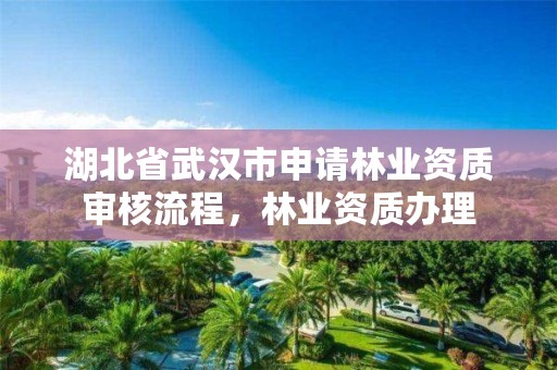 湖北省武汉市申请林业资质审核流程，林业资质办理