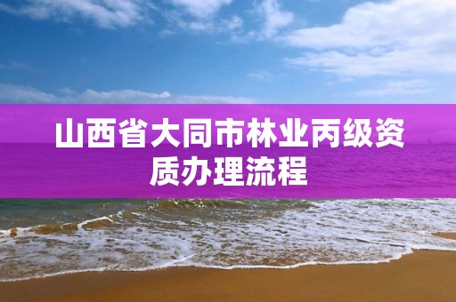 山西省大同市林业丙级资质办理流程