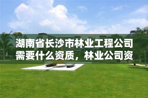 湖南省长沙市林业工程公司需要什么资质，林业公司资质有哪几个