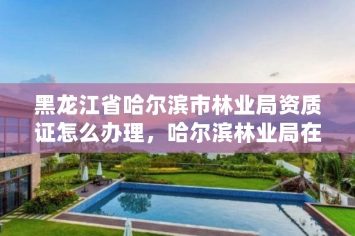 黑龙江省哈尔滨市林业局资质证怎么办理，哈尔滨林业局在哪