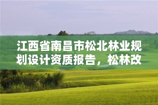 江西省南昌市松北林业规划设计资质报告，松林改造实施方案